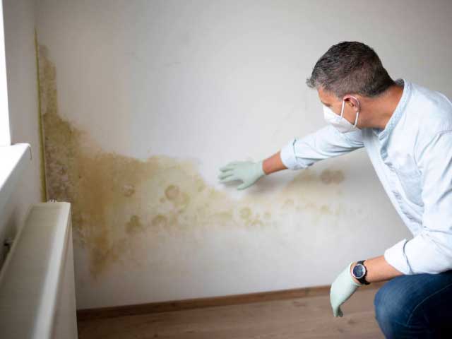 Mold Damage Insurance Claim