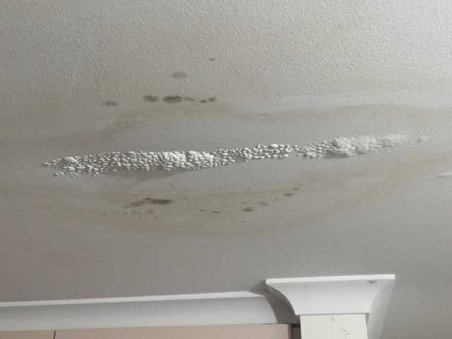 Roof Leak Insurance Claim